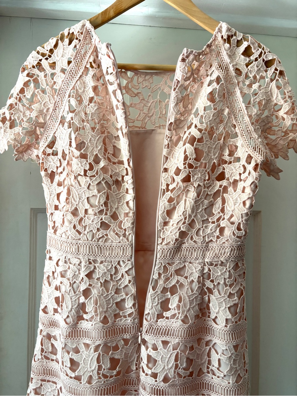 Eliza J Lace Sheath Mini Dress Crochet Lace Overlay Blush Pink Size 4P - Picture 11 of 13